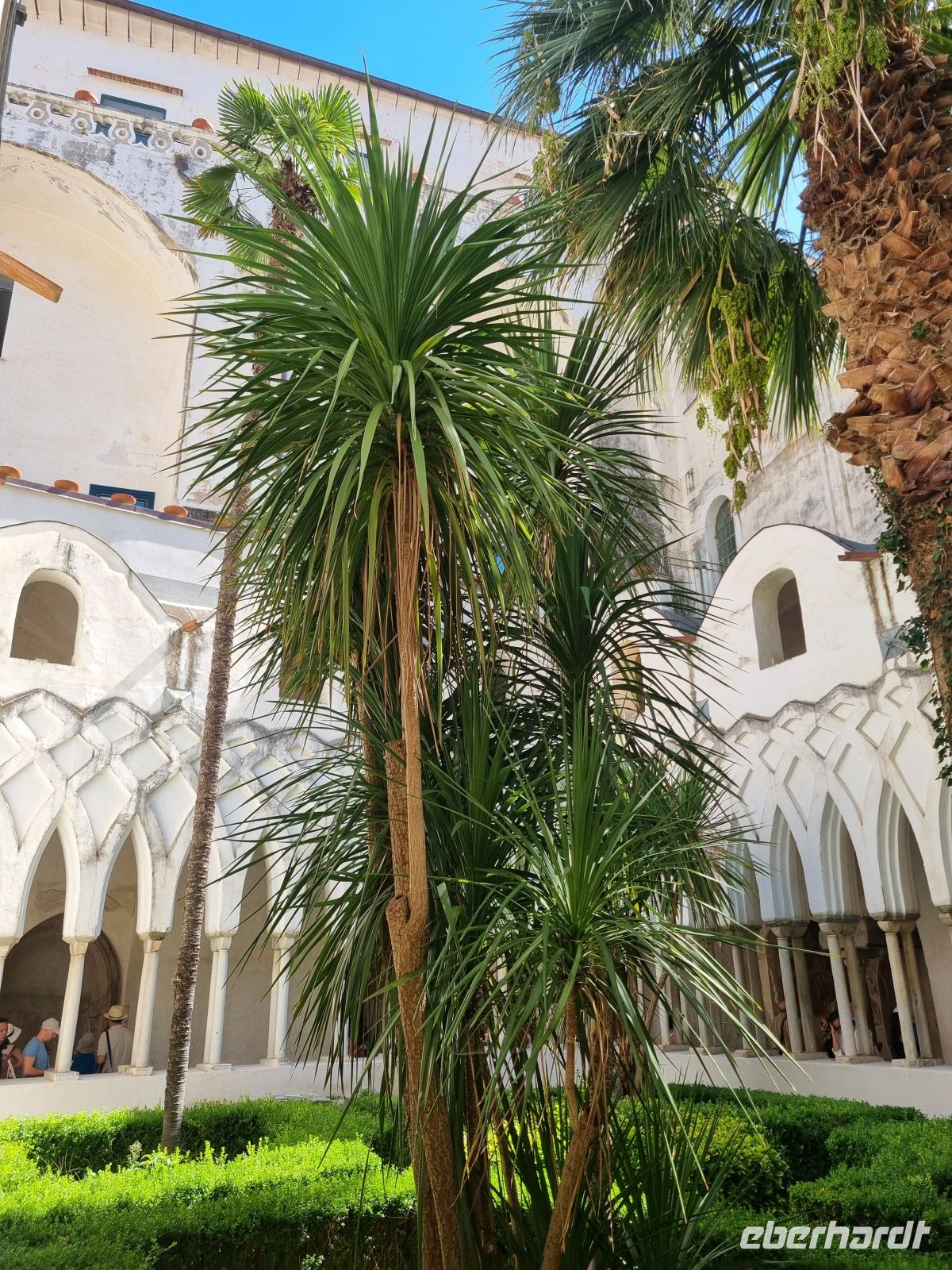 Amalfi (Kreuzgang der Kathedrale)