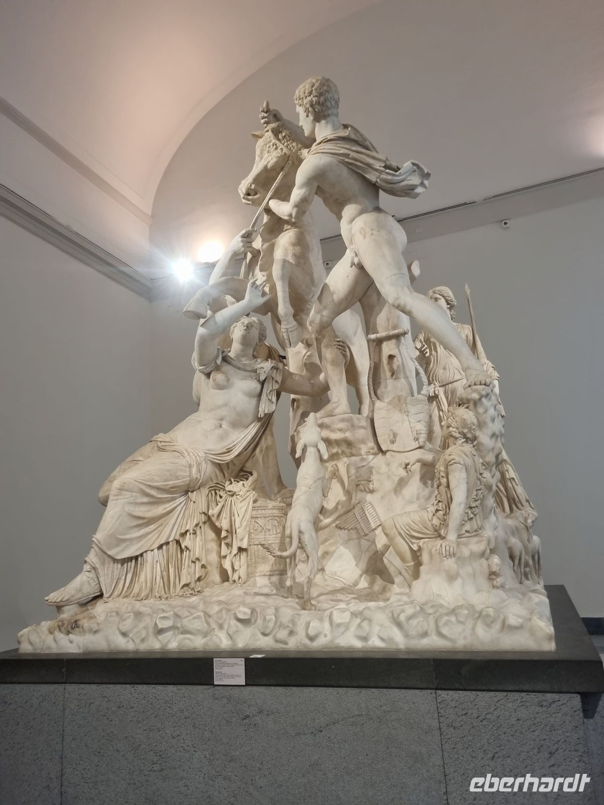 Neapel (Archäologisches Nationalmuseum - Farnese-Stier)