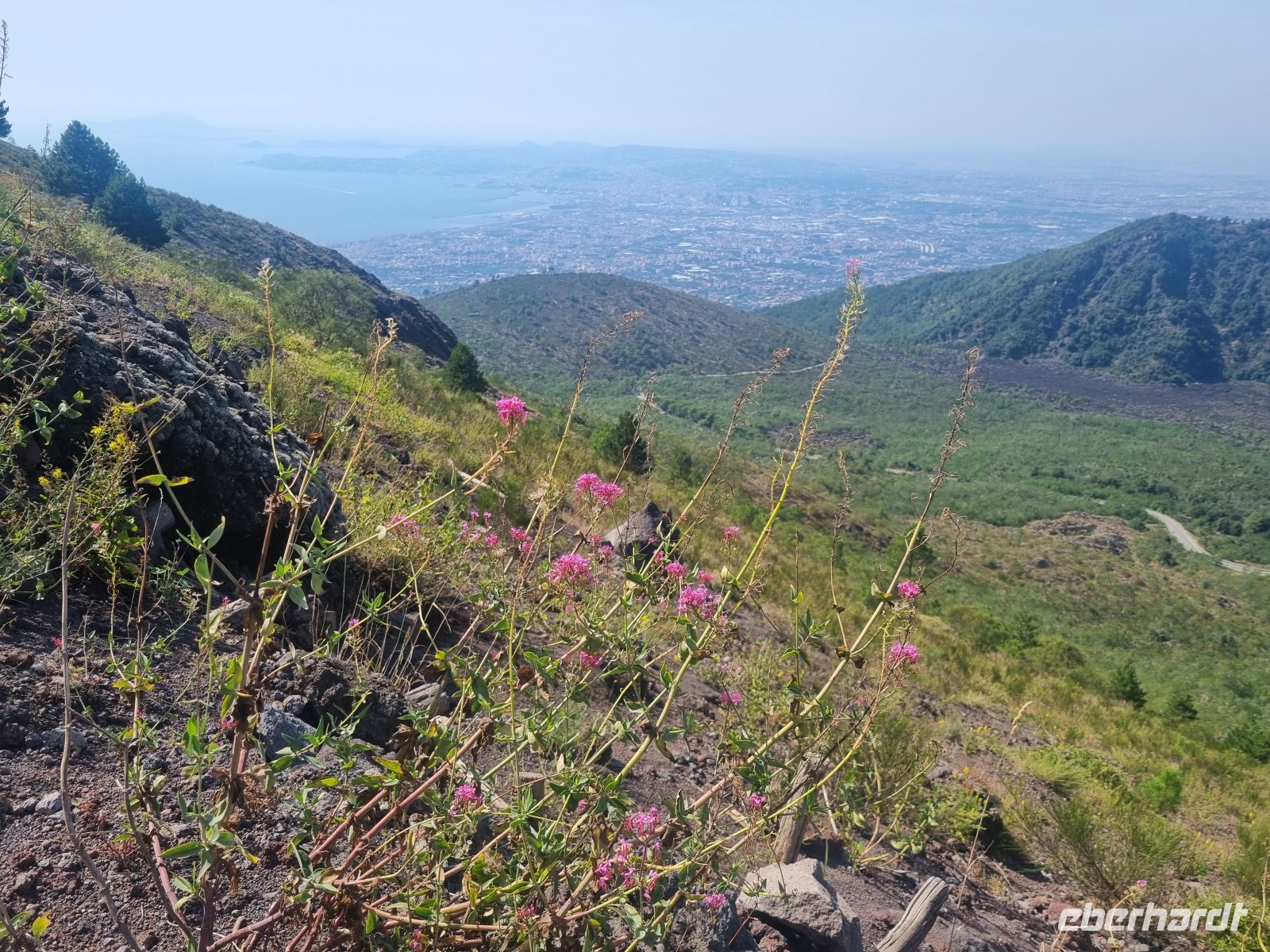 Aufstieg zum Vesuv...