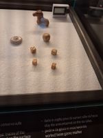 Fundstücke Würfel Forum Romanum Super Sites Rom