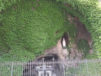 Busfahrt Vatikanische Gärten Rom