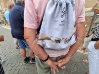 Souvenir Rom Vatikanische Museen 