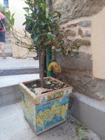  Bunte Keramiktöpfe - Sinagra, Sizilien 