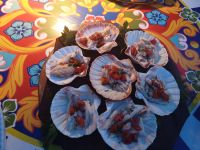 Fisch Portionen in Muschel serviert - Villa Ginevra - Sizilien 