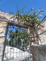 Kurz vor dem Rocca - kleine Sackgassen - Cefalú - Sizilien