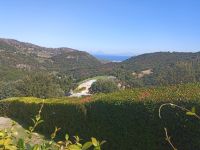 Ein Blick auf das Gelände und den Pool - Villa Ginevra, Sizilien