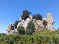 Was können sie erkennen? ein Tierkopf? Megalithen - Sizilien