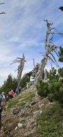 Wanderung im Pollino Gebirge 