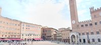 Piazza del Campo 