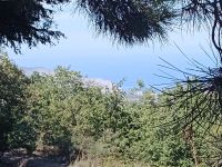 Unterwegs vom Bus... Sizilien 