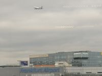 Heimflug nach Frankfurt