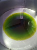 Das grüne Gold - Ölmühle Frantoio Oleario Matrica - Kalabrien