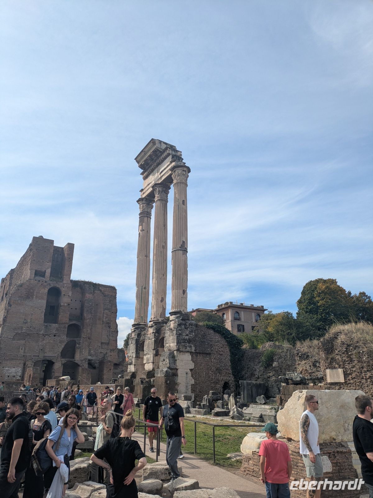 Säulen des Vestalischen Tempels