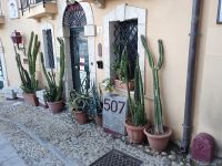 Sträßchen in Scilla und Kakteen Deko vor dem Hauseingang - Kalabrien 