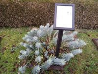 Kräutergarten im Botanischen Garten Villa Vittoria - Kalabrien 