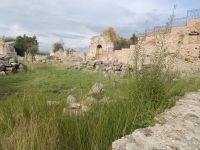  Ruinen des Klosters San Domenico in In Soriano Calabro  - Kalabrien