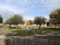  Ruinen des Klosters San Domenico in In Soriano Calabro  - Kalabrien