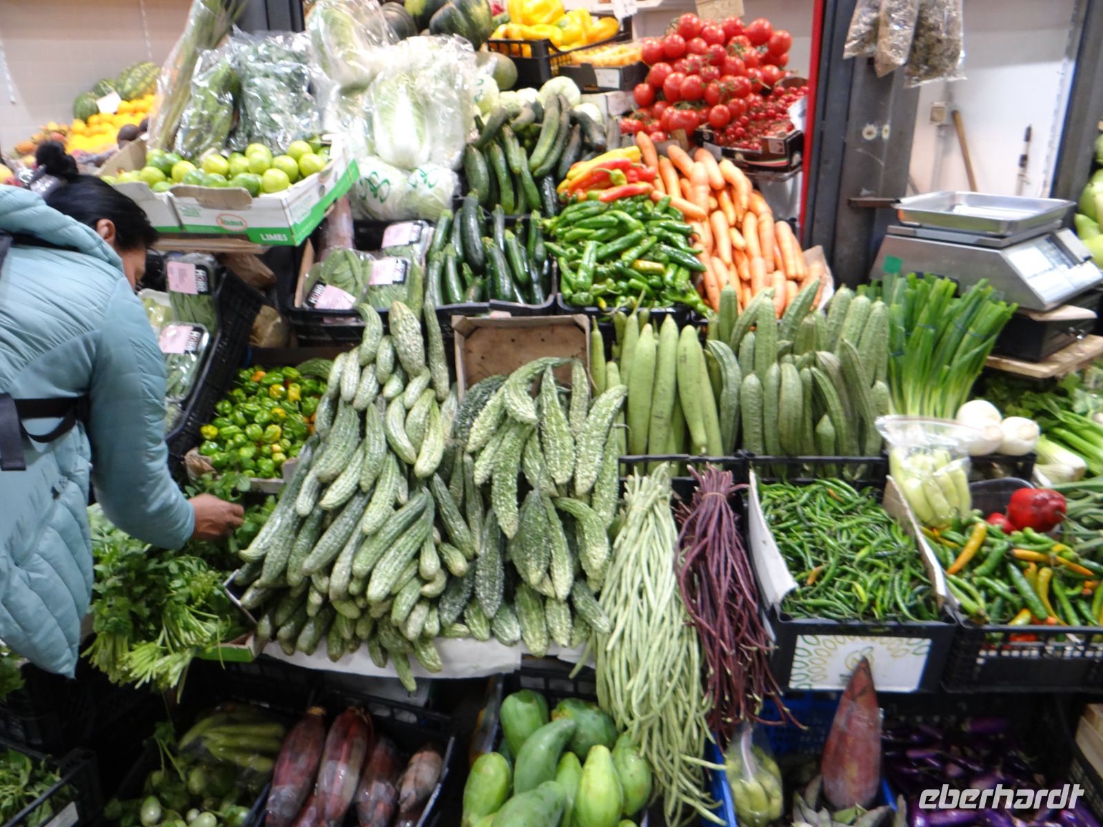 Florenz, verschiedene Gurkensorten werden in der Markthalle angeboten.