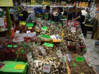 Florenz, Markthalle, getrocknete Steinpilze unterschiedlicher Güte.