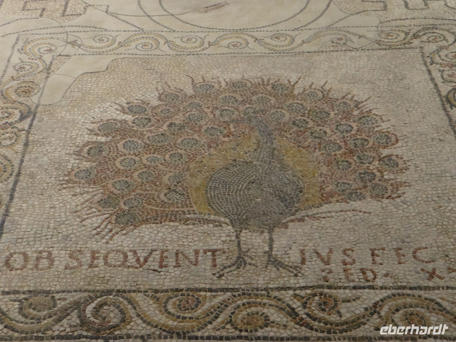 Florenz, Santa Reparata, im frühen Christentum ist der Pfau Sinnbild der Unsterblichkeit und der Freuden im Jenseits. 