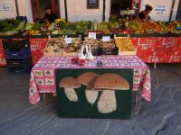 Pisa, heute, am Freitag, bieten Stände ihr appetitliches Angebot feil. 