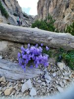 Naturpark Fanes-Senns-Prags