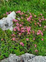 Langkofel - Steinerne Stadt