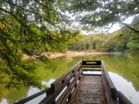 Foresta Umbra/Gargano/Apulien/Italien