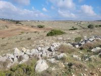 Wanderung/Park der Murgia Materana/Basilikata/Italien