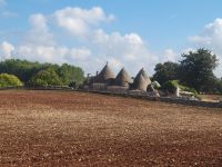 Wanderung im Valle D’Itria/Trulli/Apulien/Italien