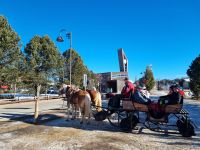 Kutschfahrt auf der Seiser Alm 