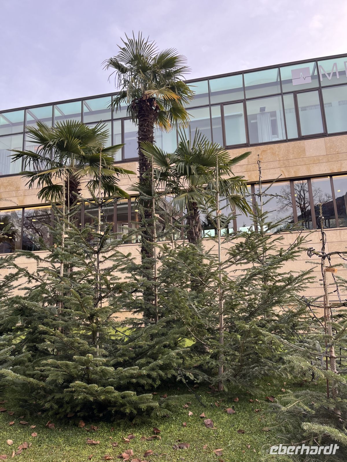 Weihnachts -& Silvesterreise Südtirol: was sich so zusammenfügt!?