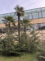 Weihnachts -& Silvesterreise Südtirol: was sich so zusammenfügt!?