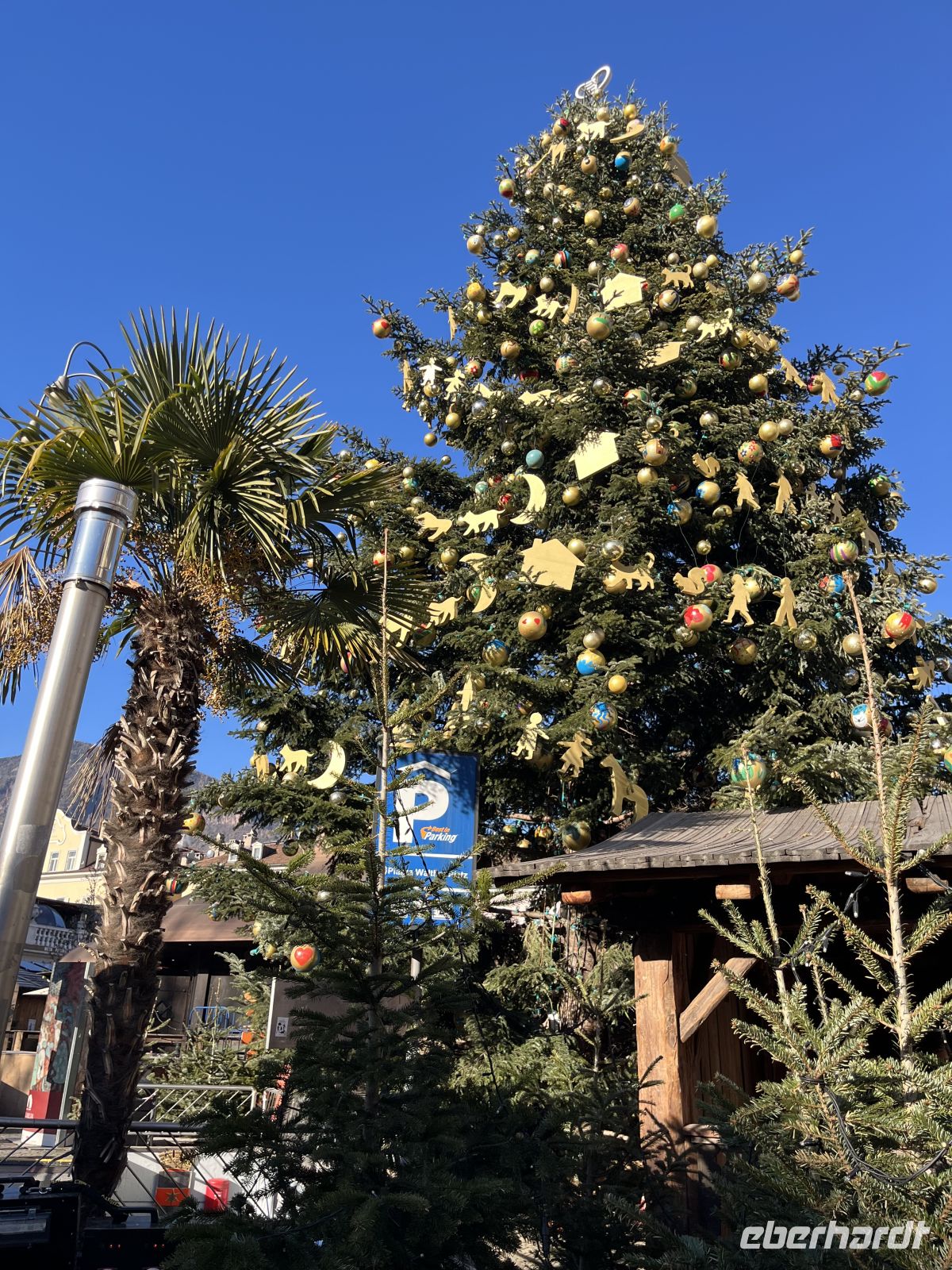 Weihnachts- & Silvesterreise Südtirol:  Bozen - Weihnachtsbaum & Palmen!