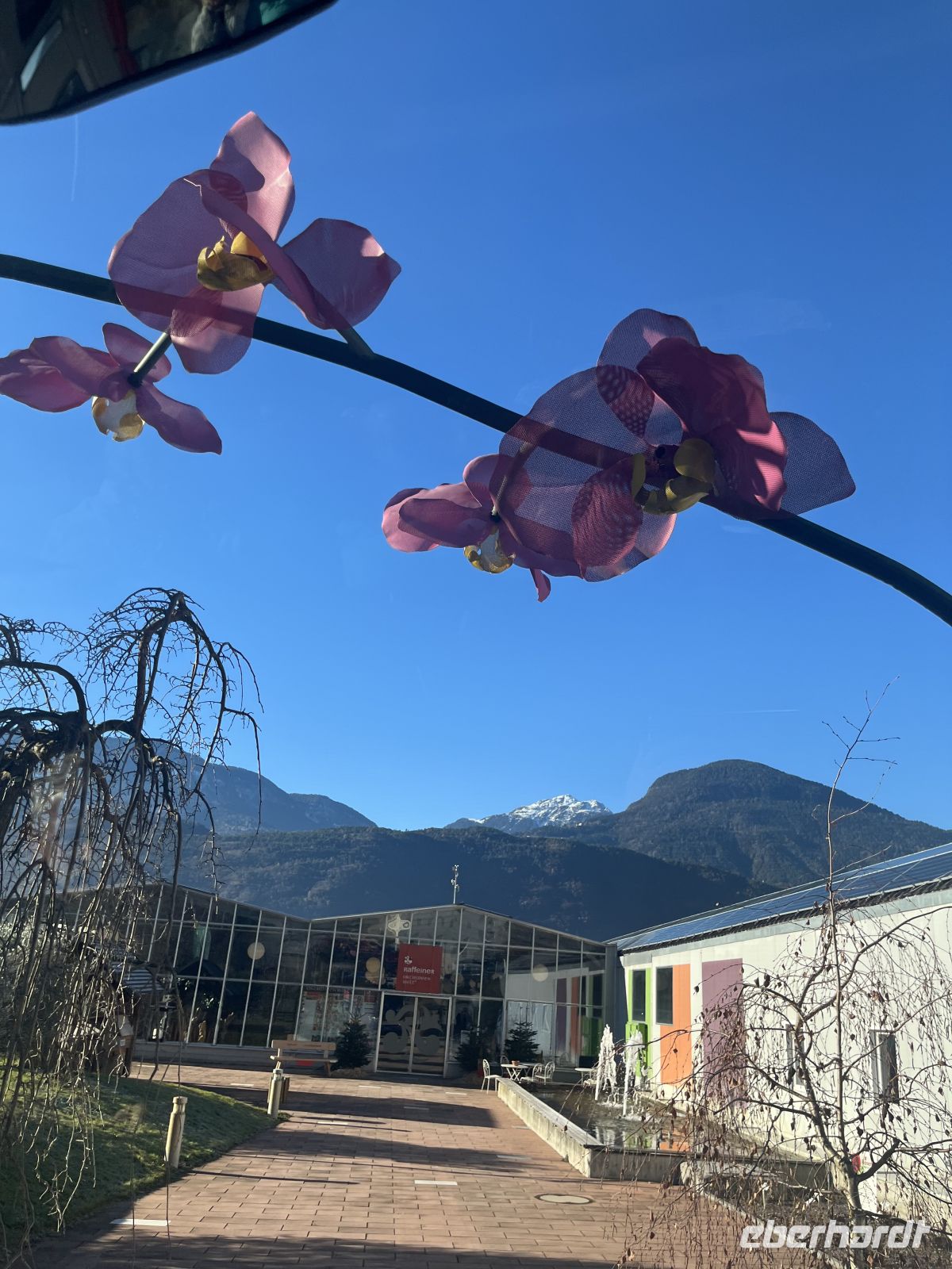 Weihnachts- & Silvesterreise Südtirol:  Orchideenwelt  Gargazon