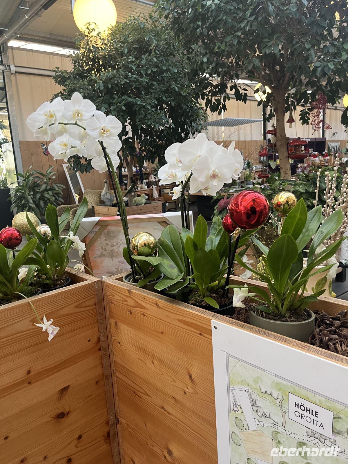 Weihnachts- & Silvesterreise Südtirol:  Orchideenwelt  Gargazon