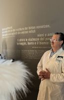 Weihnachts- & Silvesterreise Südtirol:  Schaukäserei 