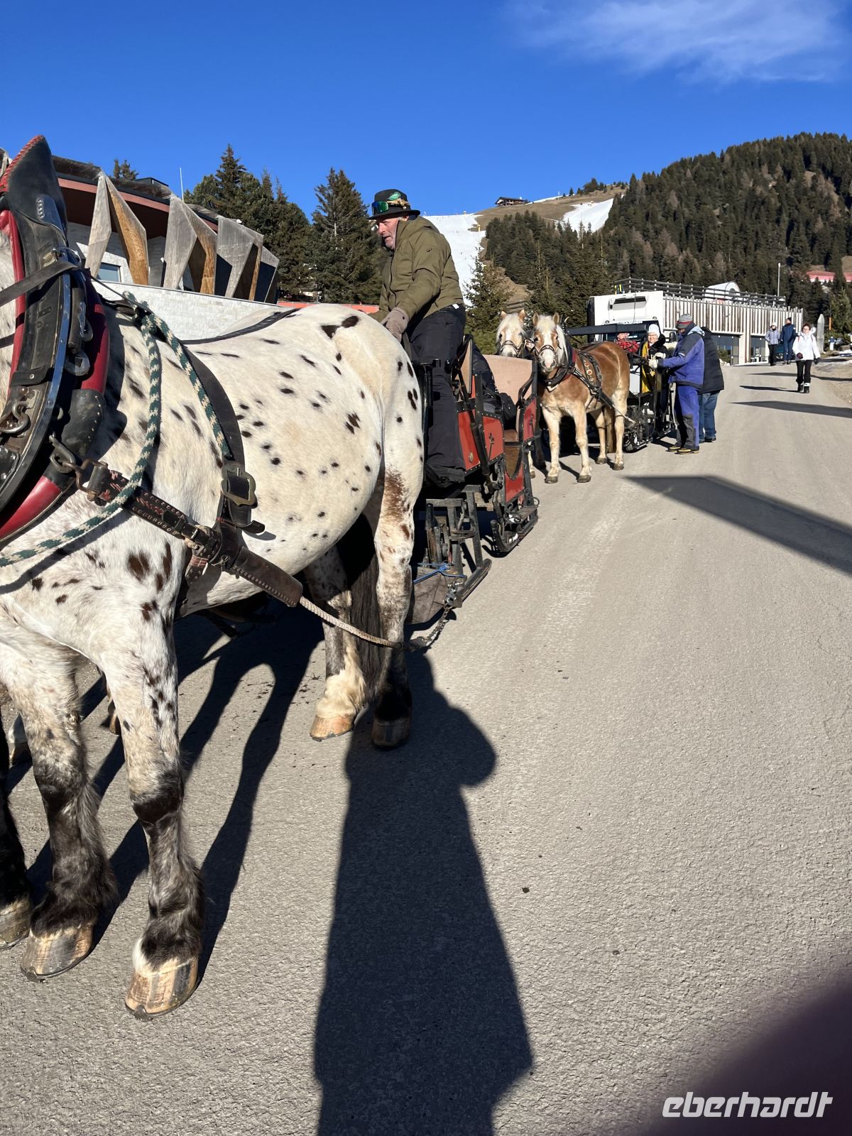 Weihnachts- & Silvesterreise Südtirol:  Seiser Alm - Komifahrt 