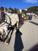 Weihnachts- & Silvesterreise Südtirol:  Seiser Alm - Komifahrt 