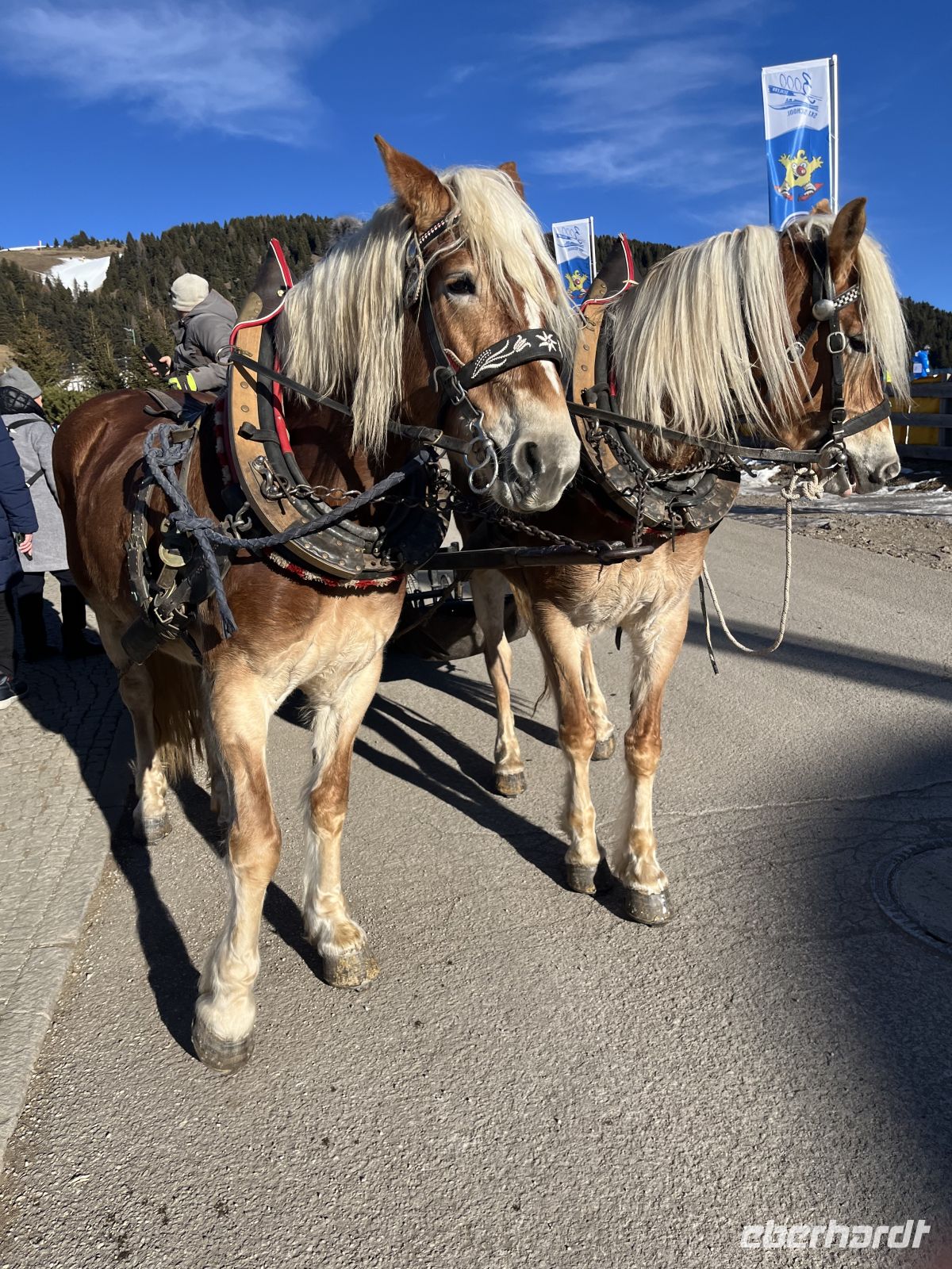 Weihnachts- & Silvesterreise Südtirol:  Seiser Alm - Komifahrt 