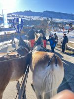 Weihnachts- & Silvesterreise Südtirol:  Seiser Alm - Komifahrt 