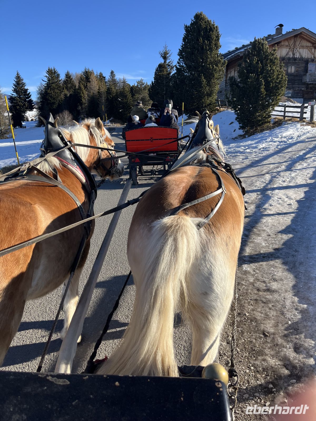 Weihnachts- & Silvesterreise Südtirol:  Seiser Alm - Komifahrt 