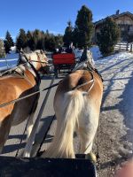 Weihnachts- & Silvesterreise Südtirol:  Seiser Alm - Komifahrt 