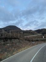 Weihnachts- & Silvesterreise Südtirol:  -  letzte Rückfahrt - Blick auf die Weinberge