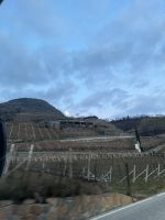 Weihnachts- & Silvesterreise Südtirol:  -  Brixen - letzte Rückfahrt mit Blick auf die Weinberge