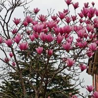 Riva del Garda &ndash; &copy; Inge Bily (Eberhardt TRAVEL)