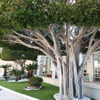 Castellamare di Stabia: unser Towers Hotel &ndash; &copy; Inge Bily (Eberhardt TRAVEL)