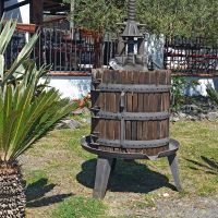 Im Weingut unterhalb des Vesuv &ndash; &copy; Inge Bily (Eberhardt TRAVEL)