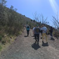 Aufstieg der Gruppe auf den Vesuv &ndash; &copy; Inge Bily (Eberhardt TRAVEL)
