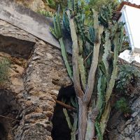 Amalfiküste: Rundgang: Positano &ndash; &copy; Inge Bily (Eberhardt TRAVEL)